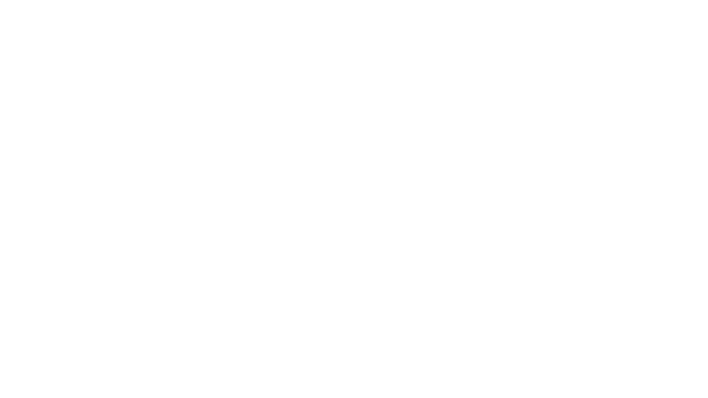 NYT NYTIMES LOGO